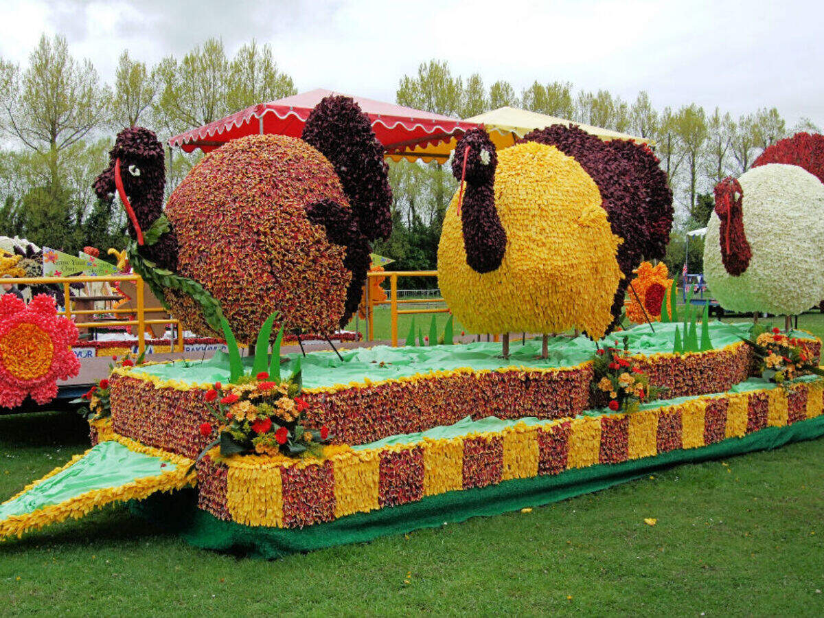 Securing The Future Of The Jersey Battle Of Flowers: The Story Of A Dedicated Individual Securing The Future Of The Jersey Battle Of Flowers: The Story Of A Dedicated Individual