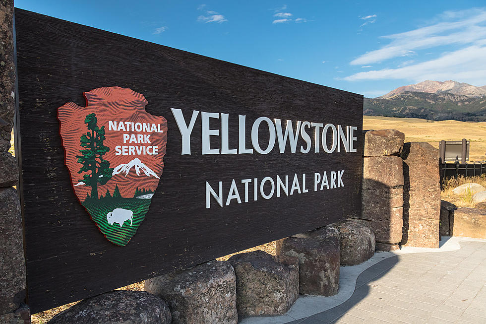 Seven Fatalities Reported In Yellowstone Area Vehicle Collision Seven Fatalities Reported In Yellowstone Area Vehicle Collision