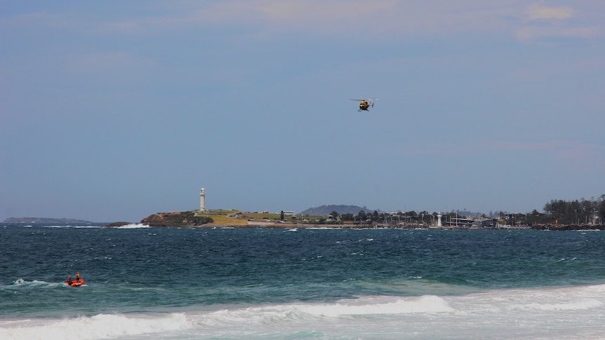 Sharks, Missing Swimmer, And A Body Found: An Israeli Beach's Dark Turn Sharks, Missing Swimmer, And A Body Found: An Israeli Beach's Dark Turn