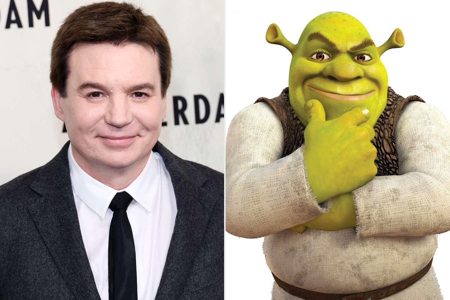 Shrek 5: Original Voice Cast And Zendaya Join The Sequel Shrek 5: Original Voice Cast And Zendaya Join The Sequel