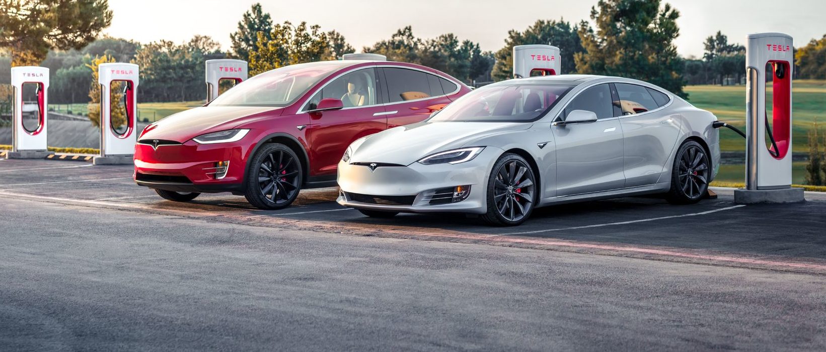 Significant Drop In Tesla's Q1 Profit: The Musk Administration Backlash Significant Drop In Tesla's Q1 Profit: The Musk Administration Backlash
