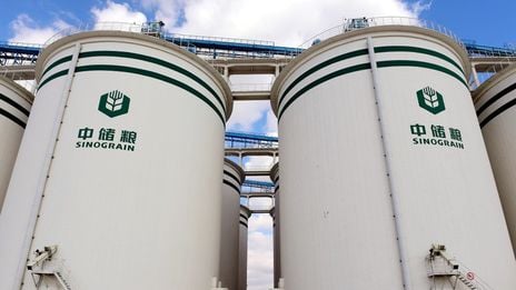 Sinograin's Imported Soybean Auction: Impact On China's Market Sinograin's Imported Soybean Auction: Impact On China's Market