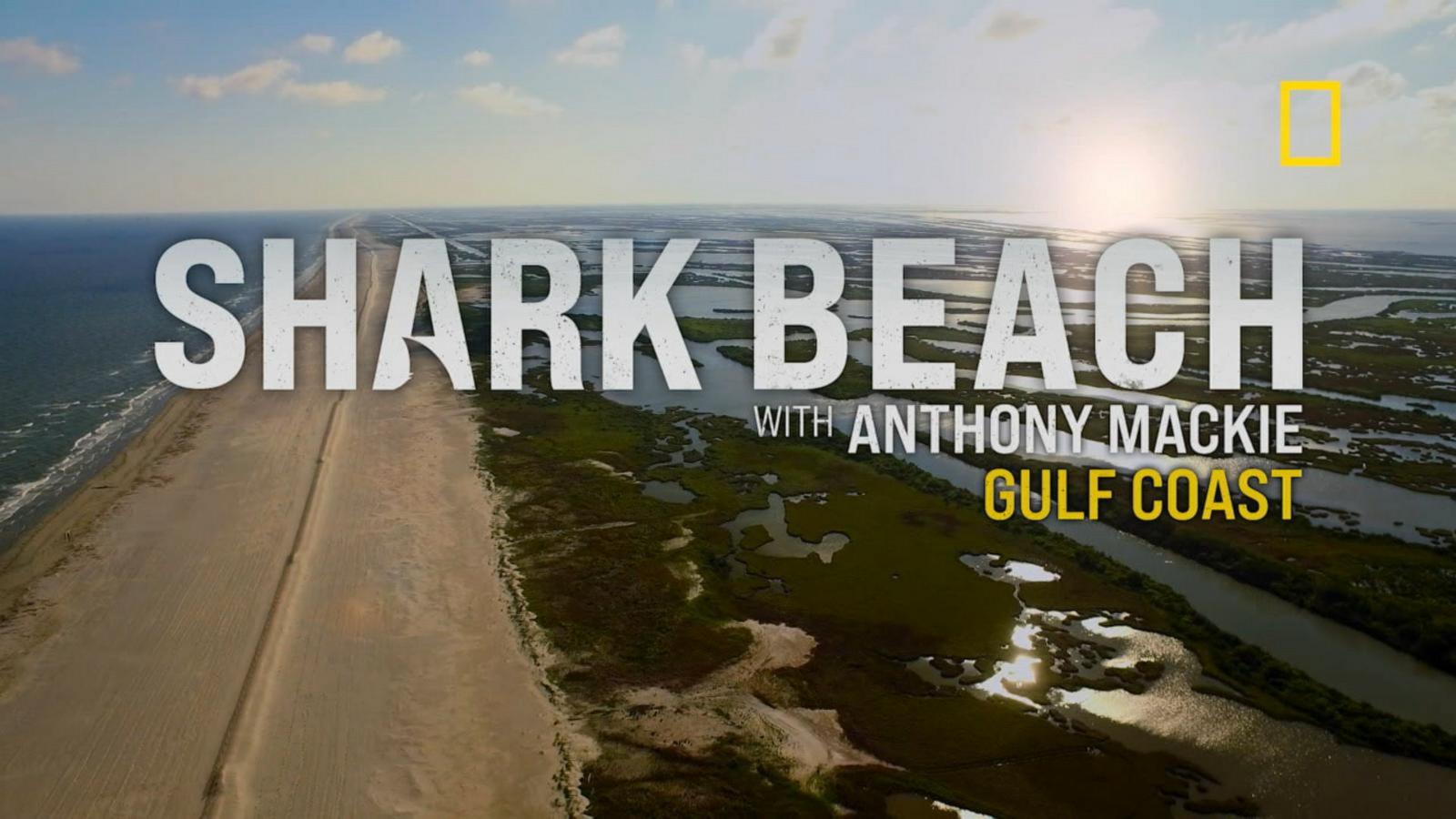 Sneak Peek: Anthony Mackie In A New Family Film Sneak Peek: Anthony Mackie In A New Family Film