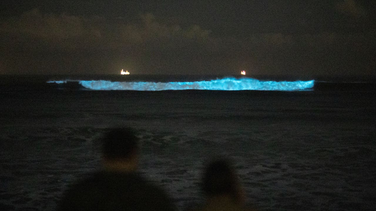Southern California Bioluminescence: Spring And Fall Viewing Guide Southern California Bioluminescence: Spring And Fall Viewing Guide