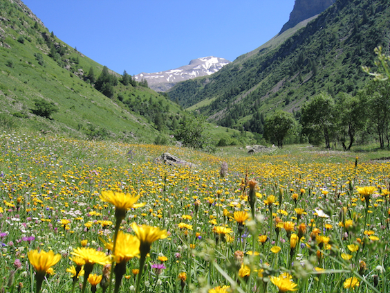 Southern French Alps Weather: Impact Of Recent Storms And Late Snow Southern French Alps Weather: Impact Of Recent Storms And Late Snow