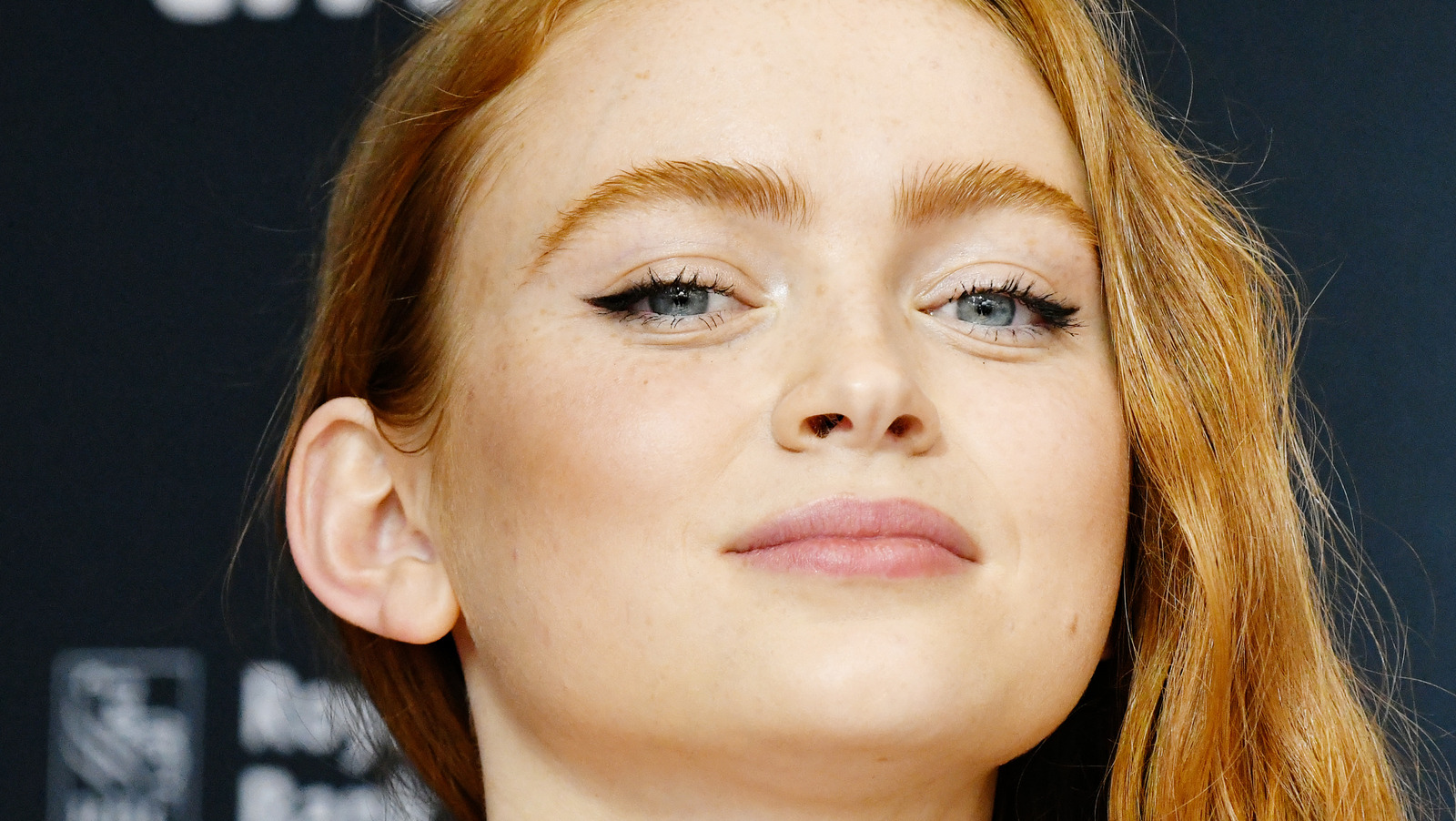 Spider-Man 4 Casting News: Sadie Sink's Mysterious Role Spider-Man 4 Casting News: Sadie Sink's Mysterious Role