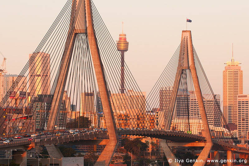 Sydney Anzac Bridge: Major Delays After Vehicle Collision Sydney Anzac Bridge: Major Delays After Vehicle Collision