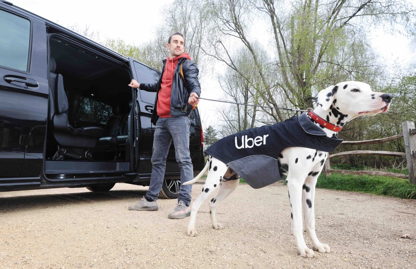 Taking Your Pet On An Uber In Mumbai: A Step-by-Step Guide Taking Your Pet On An Uber In Mumbai: A Step-by-Step Guide