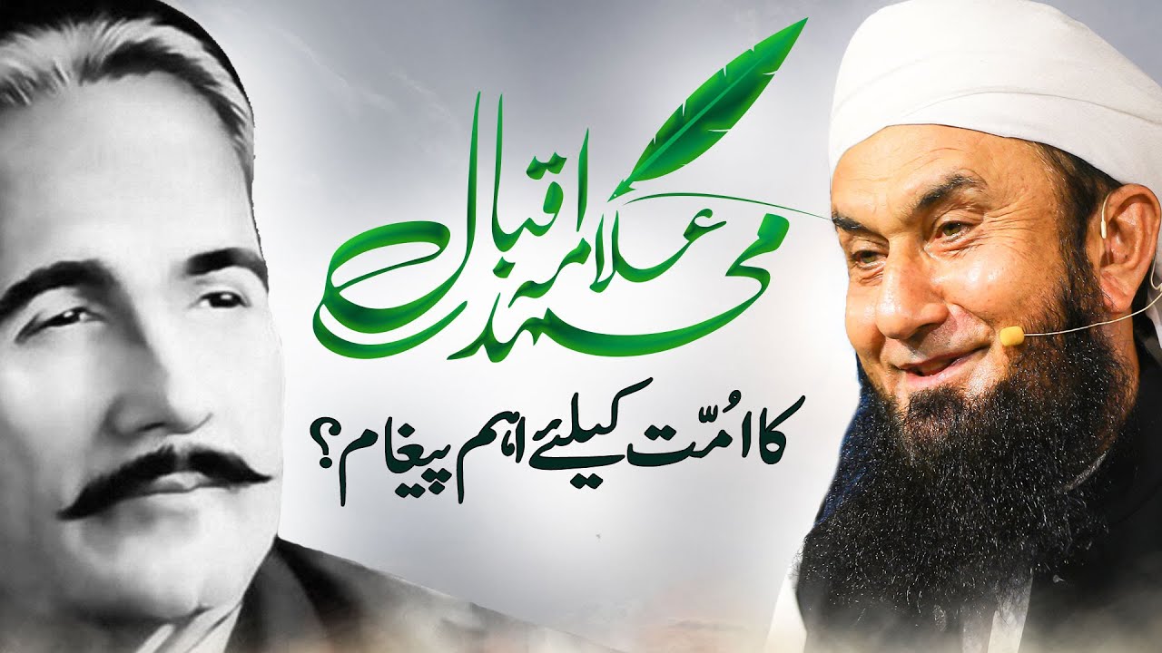 ٹام کروز: مداح کے جوتوں پر چڑھنے کا واقعہ اور اس کا اثر ٹام کروز: مداح کے جوتوں پر چڑھنے کا واقعہ اور اس کا اثر