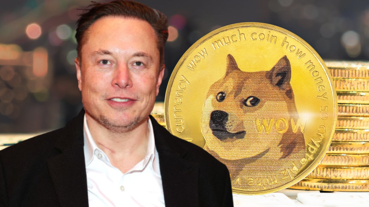The Correlation Between Tesla Stock And Dogecoin: Understanding Elon Musk's Effect The Correlation Between Tesla Stock And Dogecoin: Understanding Elon Musk's Effect
