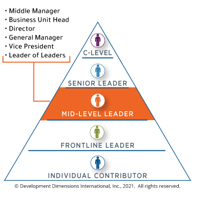 The Crucial Role Of Middle Managers: Benefits For Companies And Employees The Crucial Role Of Middle Managers: Benefits For Companies And Employees