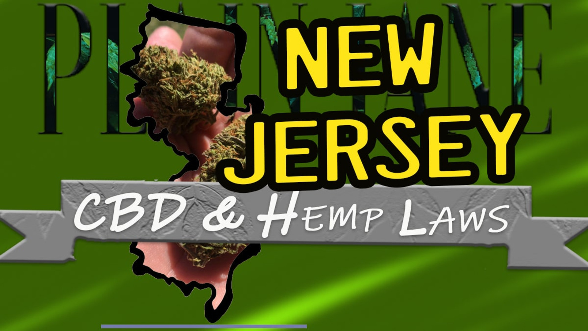 The Current State Of Hemp Laws In Georgia: What's Legal To Purchase? The Current State Of Hemp Laws In Georgia: What's Legal To Purchase?