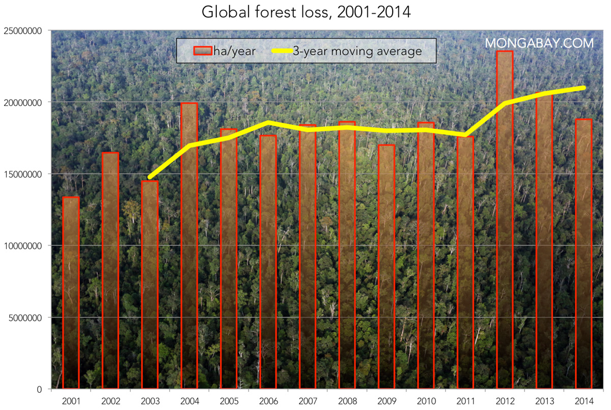 The Devastating Impact Of Wildfires: Record High In Global Forest Loss The Devastating Impact Of Wildfires: Record High In Global Forest Loss