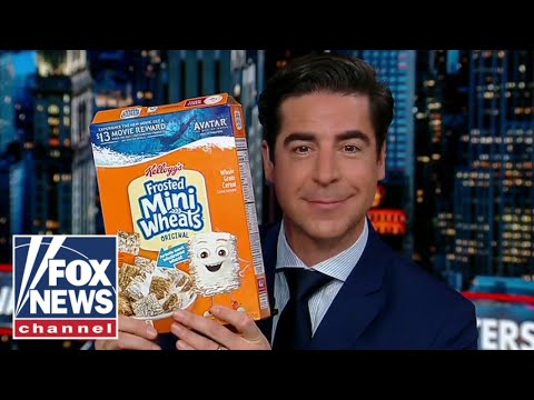 The Jesse Watters Cheating Joke Controversy Explained The Jesse Watters Cheating Joke Controversy Explained