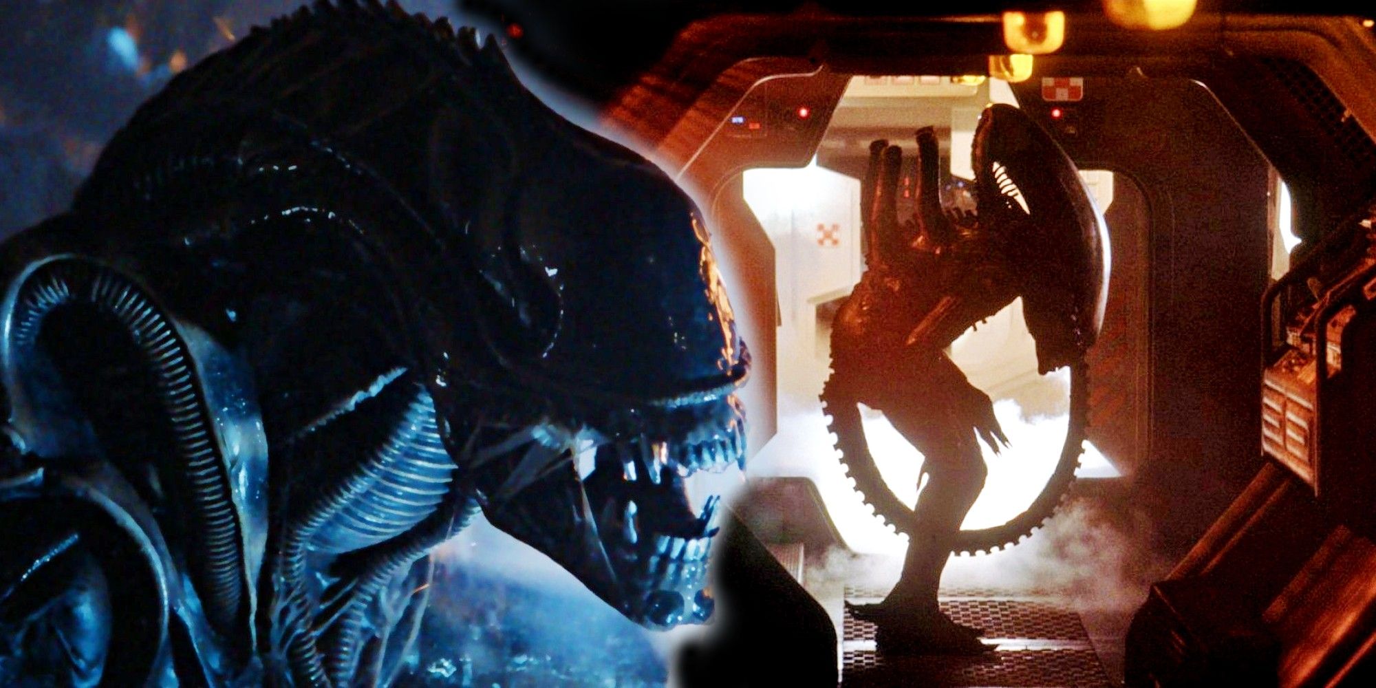 The Lasting Impact Of Ridley Scott's Alien Influence: A 13-Year Analysis The Lasting Impact Of Ridley Scott's Alien Influence: A 13-Year Analysis