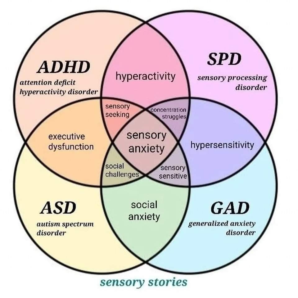 The Link Between ADHD, Autism, And Intellectual Disability: Findings From A Recent Study The Link Between ADHD, Autism, And Intellectual Disability: Findings From A Recent Study