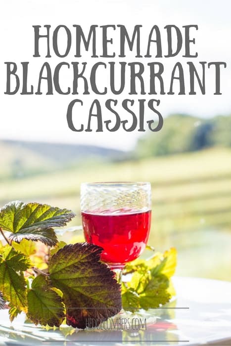 The Rich Flavor Profile Of Cassis Blackcurrant The Rich Flavor Profile Of Cassis Blackcurrant