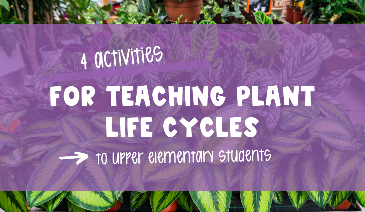 The Role Of Campus Farms In Teaching Students About Life Cycles The Role Of Campus Farms In Teaching Students About Life Cycles