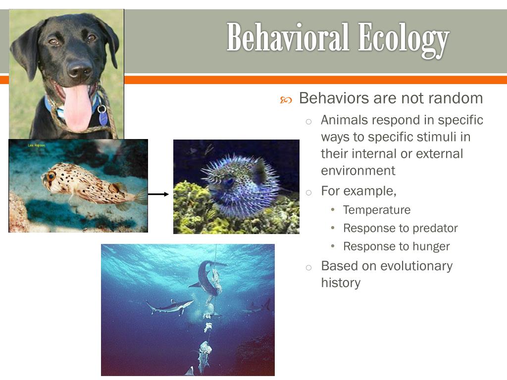 The Science Of Animal Wonder: Behavior, Ecology, And Conservation The Science Of Animal Wonder: Behavior, Ecology, And Conservation