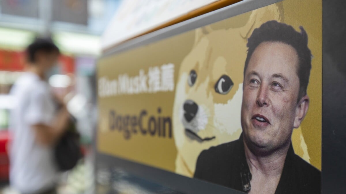The Truth About Elon Musk And Dogecoin The Truth About Elon Musk And Dogecoin