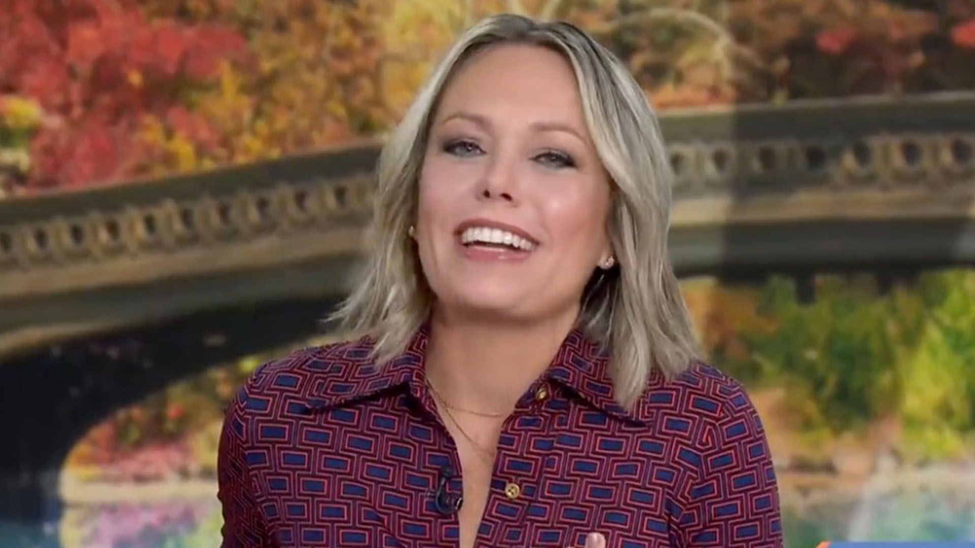 Today Show Host Dylan Dreyer: A Look At The Event That Almost Sidelined Her Today Show Host Dylan Dreyer: A Look At The Event That Almost Sidelined Her