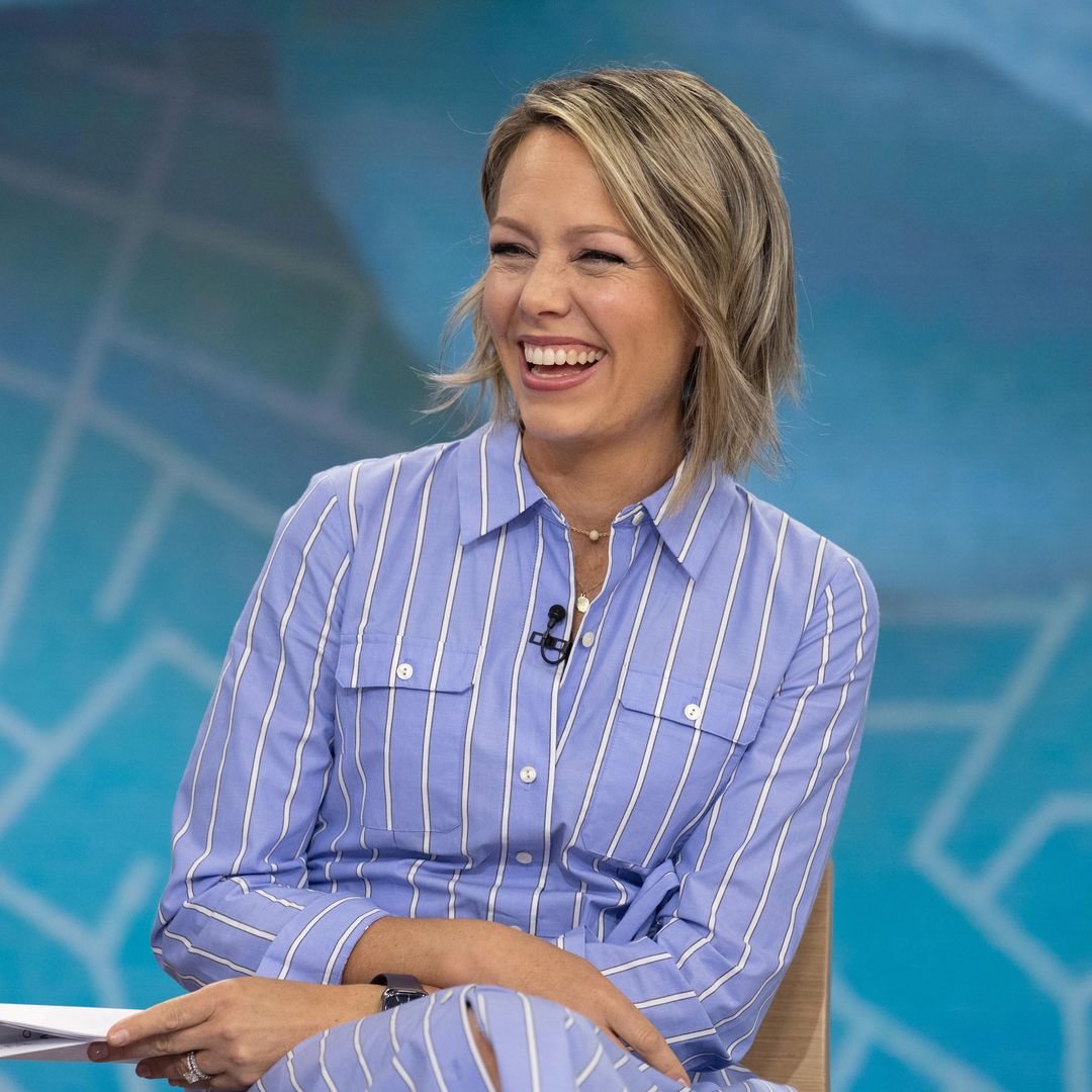 Today Show's Dylan Dreyer: Distancing From Co-Stars Following Mishap Today Show's Dylan Dreyer: Distancing From Co-Stars Following Mishap