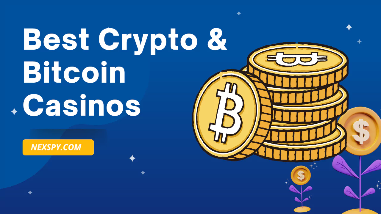 Top-Rated Bitcoin Casinos For 2025: A Comprehensive Guide