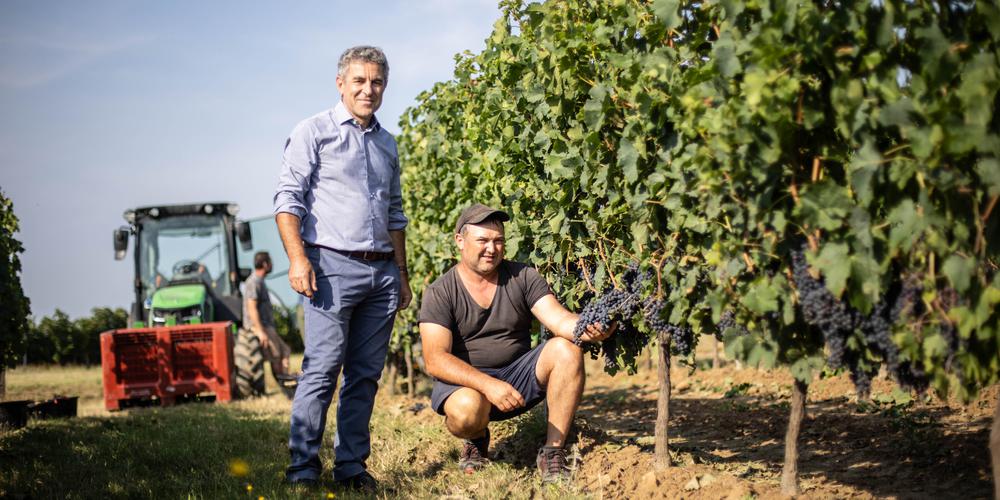 Tournée Minérale Et Dry January : Un Marché Du Sans Alcool En Pleine Expansion Tournée Minérale Et Dry January : Un Marché Du Sans Alcool En Pleine Expansion