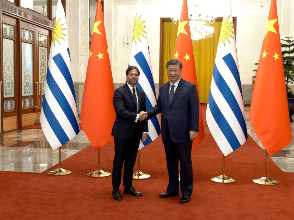 Tres Toros Uruguayos Viajan A China Como Regalo Del Presidente A Xi Jinping Tres Toros Uruguayos Viajan A China Como Regalo Del Presidente A Xi Jinping