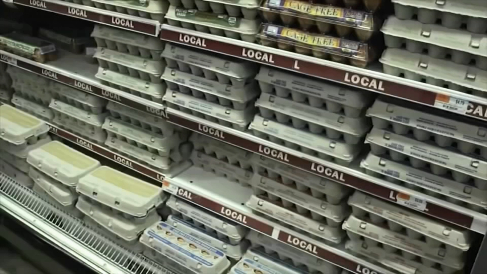 Trump's Egg Price Prediction: From Fiction To Reality Trump's Egg Price Prediction: From Fiction To Reality