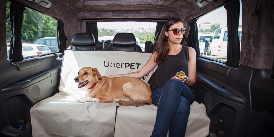 Uber Pet Services Now Available In Delhi And Mumbai Uber Pet Services Now Available In Delhi And Mumbai