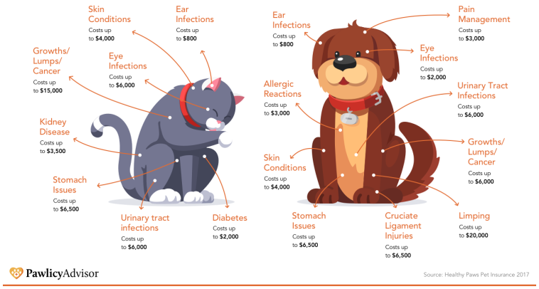 UK Pet Vet Costs: Examining The Influence Of Corporate Profit Targets UK Pet Vet Costs: Examining The Influence Of Corporate Profit Targets