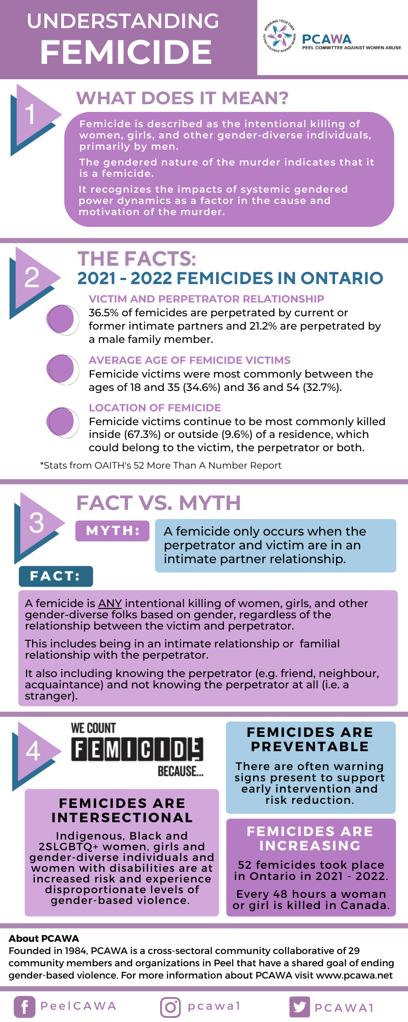 Understanding Femicide: Causes And The Concerning Increase