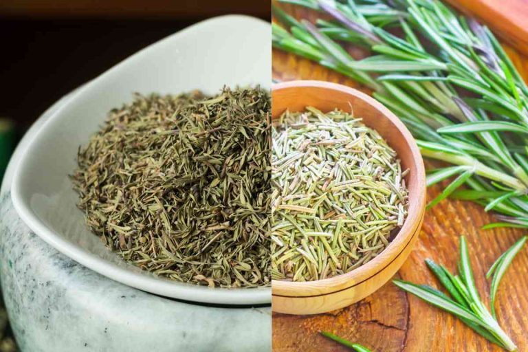 Understanding The Differences Between Rosemary & Thyme Understanding The Differences Between Rosemary & Thyme