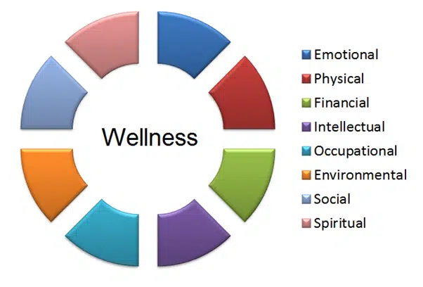 Understanding The Good Life: A Holistic Approach To Wellbeing Understanding The Good Life: A Holistic Approach To Wellbeing