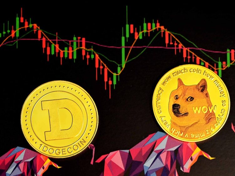 Understanding The Recent Price Increases Of Dogecoin, Shiba Inu, And Sui Understanding The Recent Price Increases Of Dogecoin, Shiba Inu, And Sui