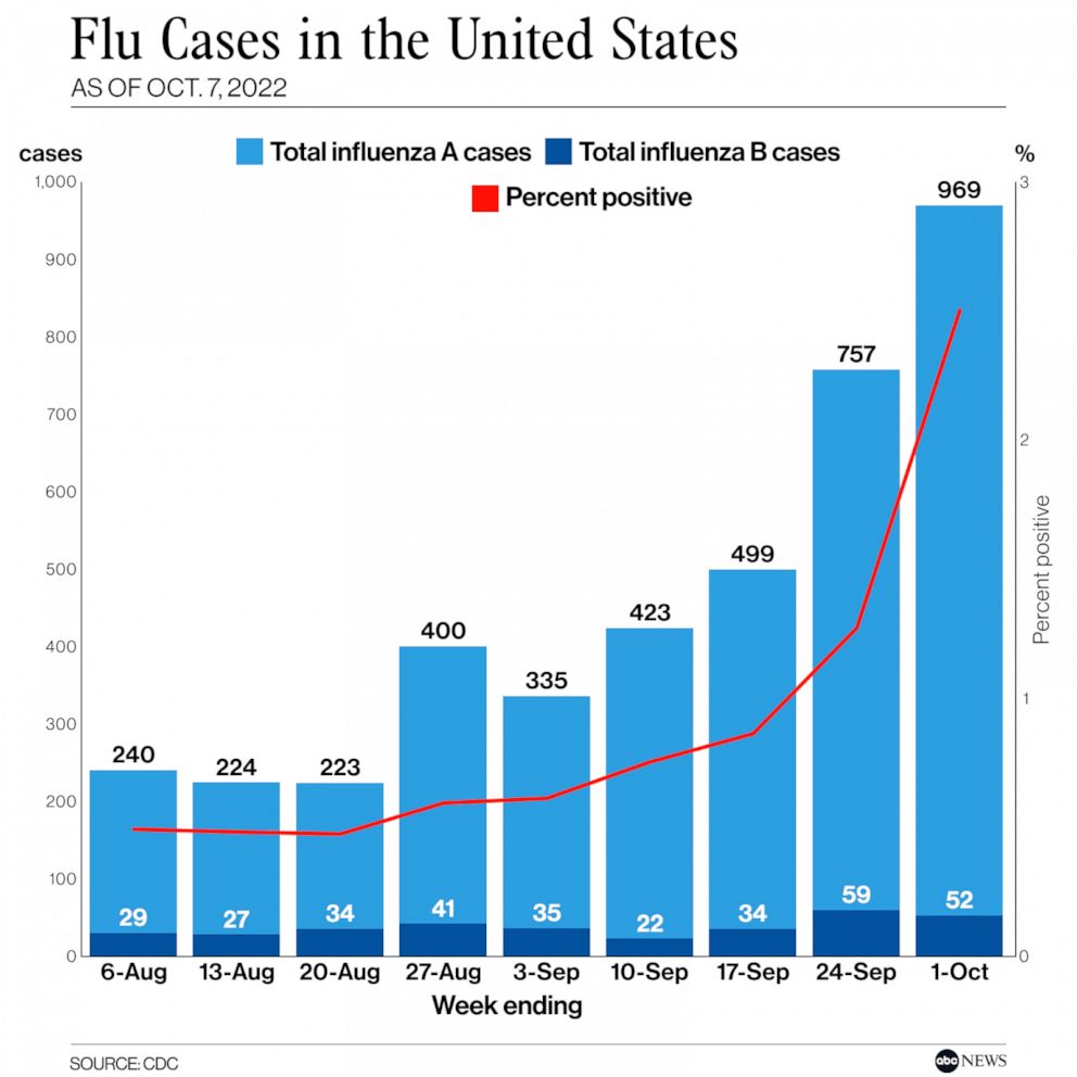 Understanding The Rise In COVID-19 Cases: A New Variant's Role Understanding The Rise In COVID-19 Cases: A New Variant's Role