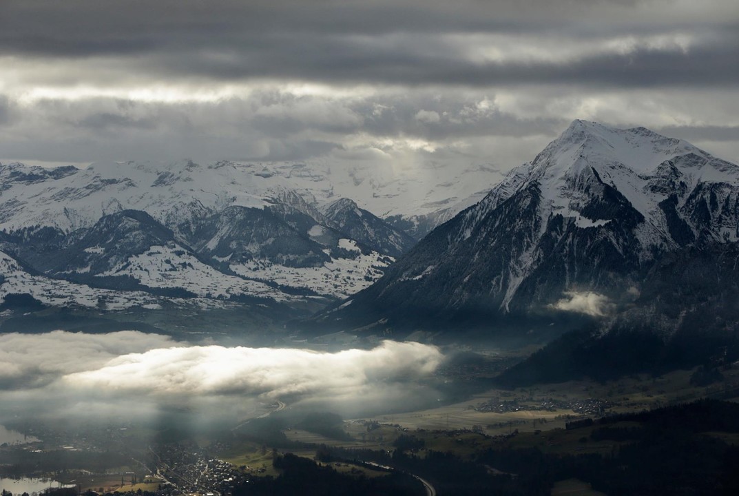 Understanding The Unraveling Of The King Of Davos's Power Understanding The Unraveling Of The King Of Davos's Power