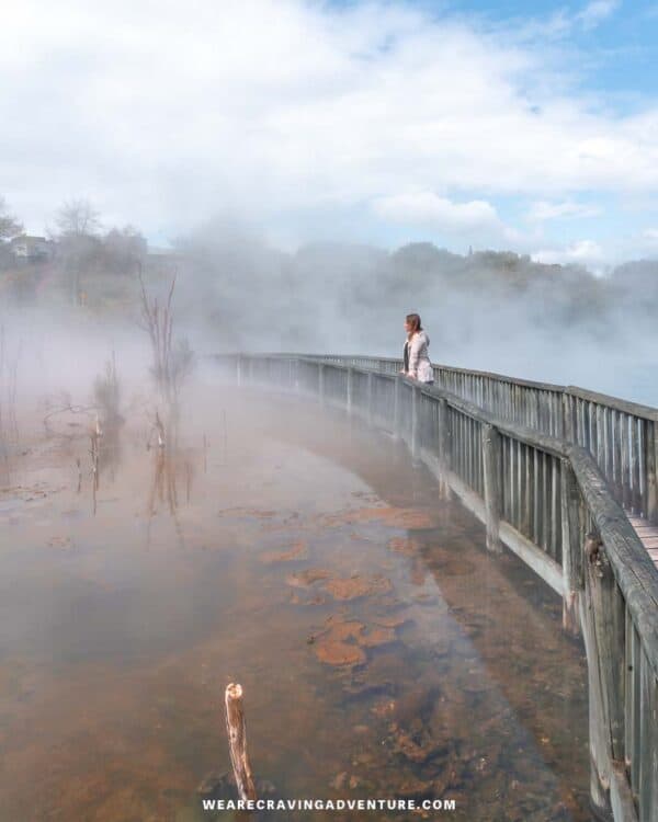 Unveiling Rotorua: New Zealand's Thriving Cultural Centre Unveiling Rotorua: New Zealand's Thriving Cultural Centre