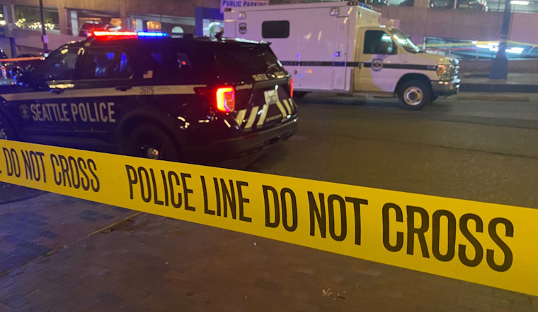 Update: Second Arrest In Connection With Seattle Park Homicide