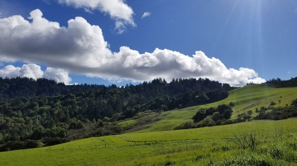 Urgent Search: 79-Year-Old Missing From Portola Valley Preserve Urgent Search: 79-Year-Old Missing From Portola Valley Preserve