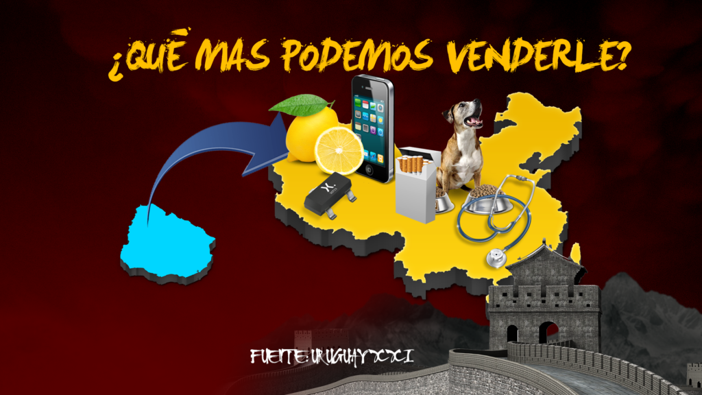 Uruguay Regala Inusual Obsequio A China Para Impulsar Exportaciones Ganaderas Uruguay Regala Inusual Obsequio A China Para Impulsar Exportaciones Ganaderas