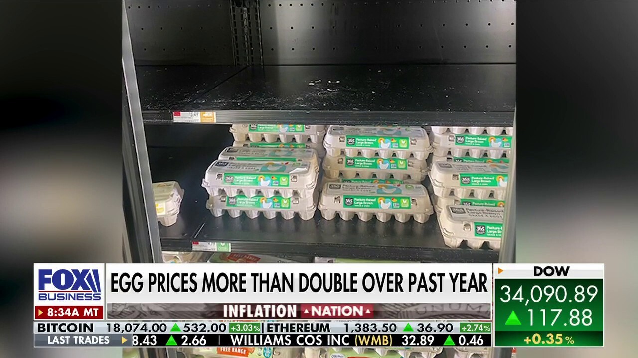 US Egg Price Decline: Dozen Eggs Now $5 US Egg Price Decline: Dozen Eggs Now $5