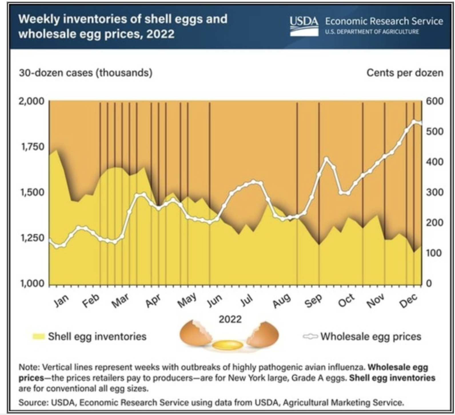 US Egg Prices Drop To $5 A Dozen: Relief For Consumers US Egg Prices Drop To $5 A Dozen: Relief For Consumers