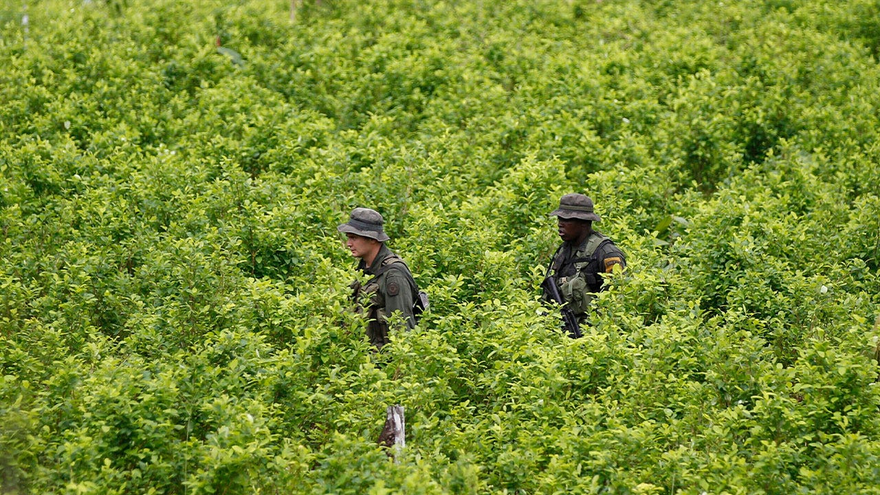Violence En Haïti : Le Rôle Présumé De La Cocaïne Colombienne Selon Petro Violence En Haïti : Le Rôle Présumé De La Cocaïne Colombienne Selon Petro