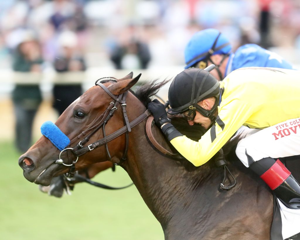 Virginia Derby At Colonial Downs: Stone's Upcoming Announcement Virginia Derby At Colonial Downs: Stone's Upcoming Announcement
