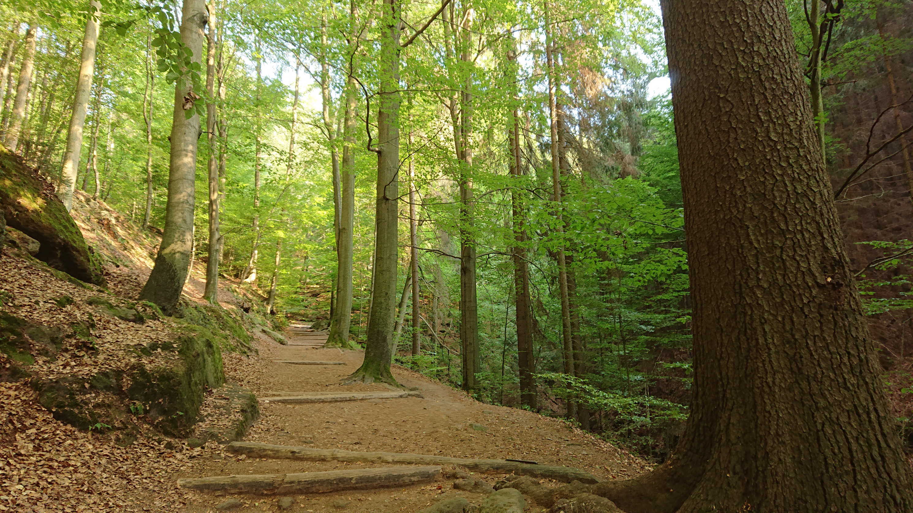 Wanderweg In Der Sächsischen Schweiz: Ein Vergleich Mit Anderen Deutschen Wanderwegen Im Lichte Caspar David Friedrichs. Wanderweg In Der Sächsischen Schweiz: Ein Vergleich Mit Anderen Deutschen Wanderwegen Im Lichte Caspar David Friedrichs.