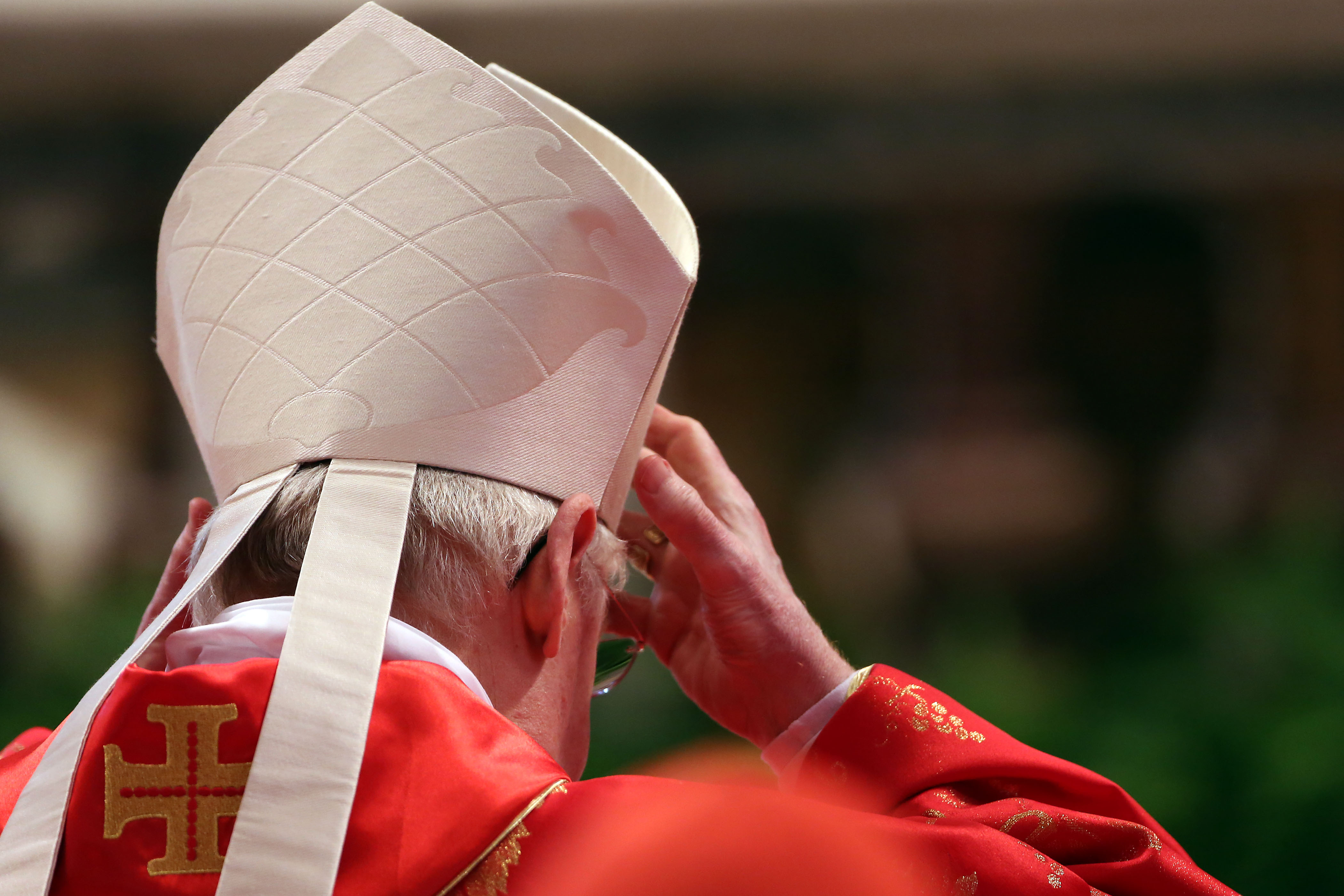 Who Could Be The Next Pope? Leading Candidates And Their Platforms Who Could Be The Next Pope? Leading Candidates And Their Platforms