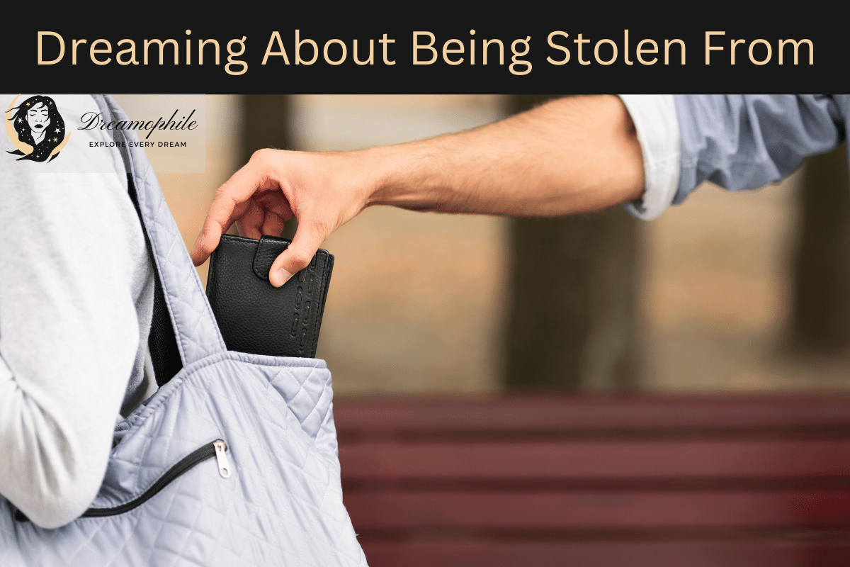 Who Pays When Dreams Are Stolen? A Restaurant Owner's Perspective Who Pays When Dreams Are Stolen? A Restaurant Owner's Perspective