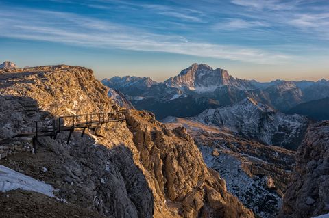 Wiederbewaldung In Der Sächsischen Schweiz: 190.000 Bäume Gepflanzt Wiederbewaldung In Der Sächsischen Schweiz: 190.000 Bäume Gepflanzt